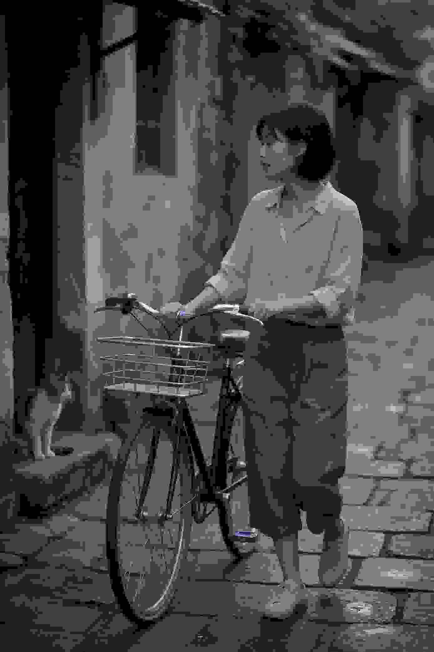 动画